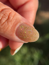 Load image into Gallery viewer, Humble Bee Polish - 54