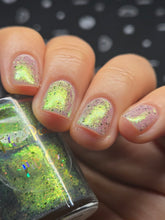 Load image into Gallery viewer, The Peach Pit Co. - Spectra Crawler - OVERSTOCK