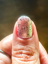 Load image into Gallery viewer, The Peach Pit Co. - Spectra Crawler - OVERSTOCK