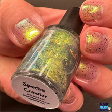 Load image into Gallery viewer, The Peach Pit Co. - Spectra Crawler - OVERSTOCK