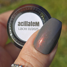 Load image into Gallery viewer, Humble Bee Polish - acillateM