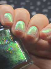 Load image into Gallery viewer, The Peach Pit Co. - Spectra Crawler - OVERSTOCK