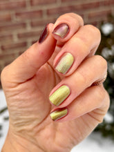 Load image into Gallery viewer, Victorian Varnish - CADOU CLAWS - MAGNETIC