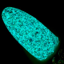 Load image into Gallery viewer, Victorian Varnish - TIME TO SHINE - GITD