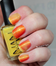 Load image into Gallery viewer, Naps & Nails - The Maleficent Macaw - OVERSTOCK
