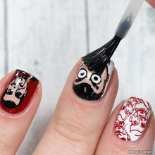 Load image into Gallery viewer, Apipila -Smudge Free TC