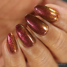 Load image into Gallery viewer, Night Owl Lacquer - Hide &amp; Seek Level Expert
