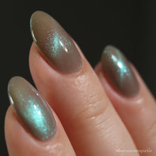Load image into Gallery viewer, Sassy Cats Lacquer - Absolute Power - MAGNETIC
