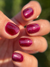 Load image into Gallery viewer, Humble Bee Polish - Wichita
