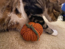 Load image into Gallery viewer, Craftydesigns4you - Pumpkin Catnip Toys

