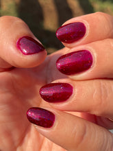 Load image into Gallery viewer, Humble Bee Polish - Wichita
