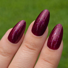 Load image into Gallery viewer, Humble Bee Polish - Wichita
