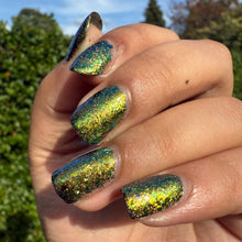 Load image into Gallery viewer, Prism Polish UK - Fool of a Took!
