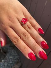 Load image into Gallery viewer, Humble Bee Polish - Scarlet Oath
