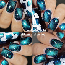 Load image into Gallery viewer, Paradox Polish - There&#39;s More To Life Than Scaring - MAGNETIC POLISH

