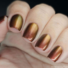 Load image into Gallery viewer, Paradox Polish - Big Bada Boom Fifth Element - POLISH
