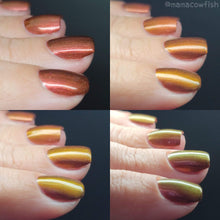 Load image into Gallery viewer, Paradox Polish - Big Bada Boom Fifth Element - POLISH
