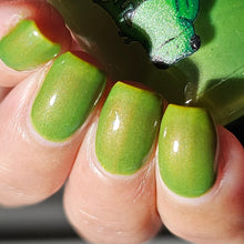 Load image into Gallery viewer, Ribbits - Caramel Apple Pops
