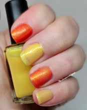 Load image into Gallery viewer, Naps &amp; Nails - The Maleficent Macaw - OVERSTOCK
