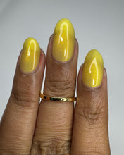 Load image into Gallery viewer, Naps &amp; Nails - The Maleficent Macaw - OVERSTOCK
