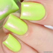 Load image into Gallery viewer, Night Owl Lacquer - Eerie Lights
