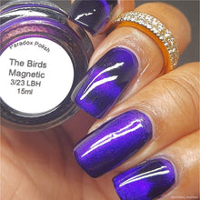 Load image into Gallery viewer, Paradox Polish - The Birds - MAGNETIC
