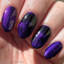 Load image into Gallery viewer, Paradox Polish - The Birds - MAGNETIC
