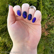 Load image into Gallery viewer, Paradox Polish - The Birds - MAGNETIC
